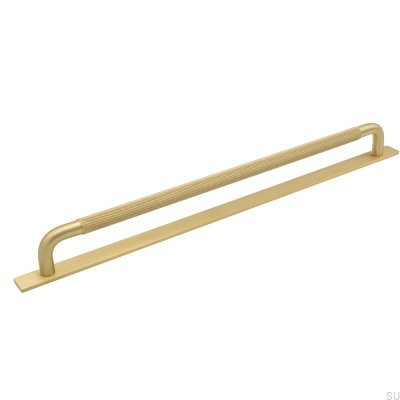 Länglicher Möbelgriff mit Helix 320 Unterlegscheibe Golden