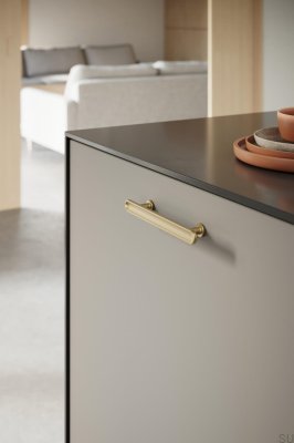 Chateau 128 Länglicher Möbelgriff aus gebürstetem Metall in Gold