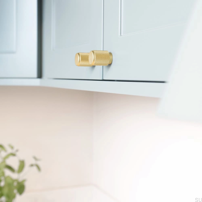 Möbelknopf Riff 21 Mattgold