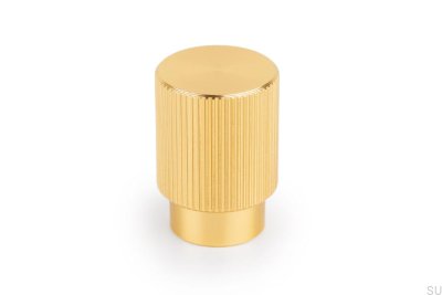 Arpa-Aluminium-Möbelknopf in gebürstetem Gold