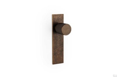 Möbelknauf mit Unterlegscheibe Arpa Plate Aluminium Rustic Gold