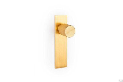 Möbelknauf mit Arpa Platte Aluminium Gold Gebürstete Unterlegscheibe