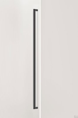 Brooklyn Big 1056 Aluminium Schwarz Titan Länglicher einseitiger Möbelgriff