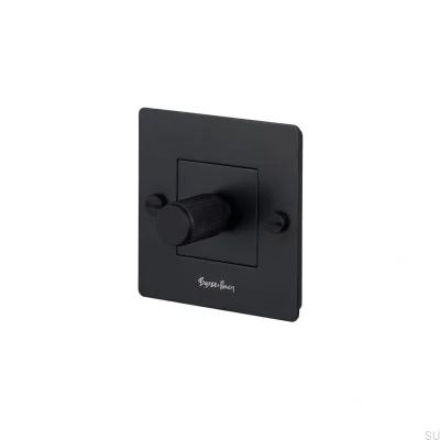 LED-Kreuzleuchte 1G 250W Stahl Schwarz Europäischer Standard-Dimmer mit Logo