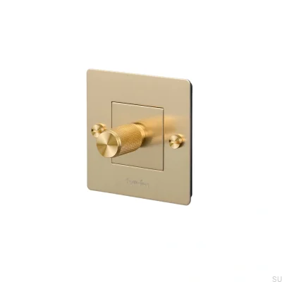 LED-Kreuz-Dimmer 1G 250W Messing Europäischer Standard mit Logo