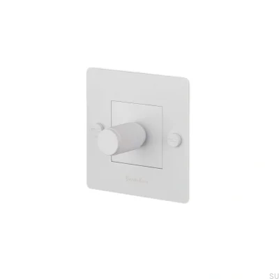 LED-Kreuzleuchte 1G 250W Stahlweiß Europäischer Standard-Dimmer mit Logo