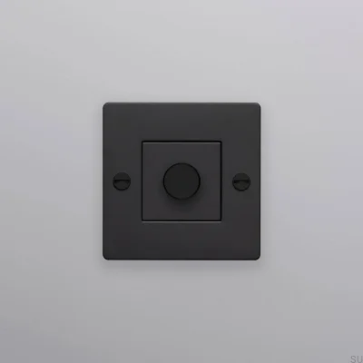 LED-Kreuzleuchte 1G 250W Stahl Schwarz Europäischer Standard-Dimmer ohne Logo