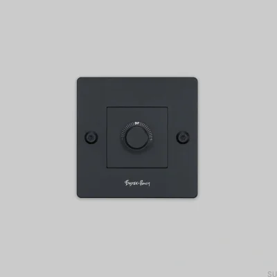 LED-Lineardimmer 1G 120W mit Logo, Stahl Schwarz, Europäischer Standard