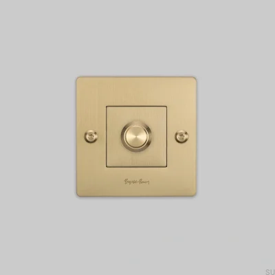 LED-Lineardimmer 1G 120W mit Logo, Messing, Europäischer Standard