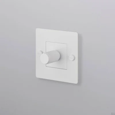 LED-Kreuzleuchte 1G 250W Stahlweiß Europäischer Standard-Dimmer ohne Logo