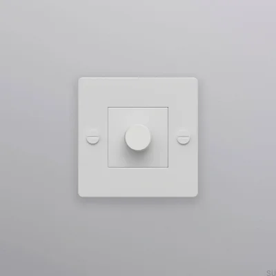LED-Kreuzleuchte 1G 250W Stahlweiß Europäischer Standard-Dimmer ohne Logo