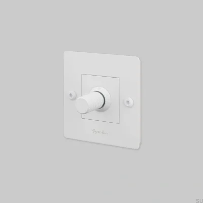 LED-Linearleuchte 1G 250W Stahlweiß Europäischer Standard Dimmer mit Schalter und Logo
