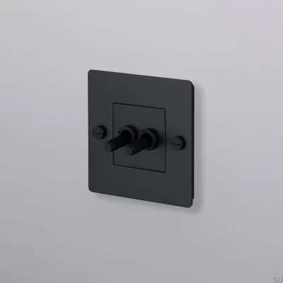 Doppelschalter ohne Logo, Kreuz 1G, Stahl, Schwarz, Europäischer Standard