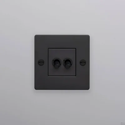 Doppelschalter ohne Logo, Kreuz 1G, Stahl, Schwarz, Europäischer Standard