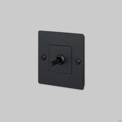 Einzelschalter ohne Logo, linear, 1G, Stahl, Schwarz, Europäischer Standard