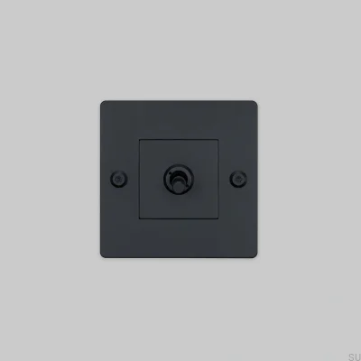 Einzelschalter ohne Logo, linear, 1G, Stahl, Schwarz, Europäischer Standard