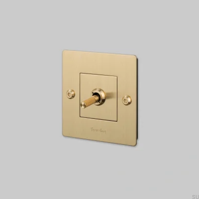 Einzelschalter mit Linear 1G-Logo, Messing, europäischer Standard