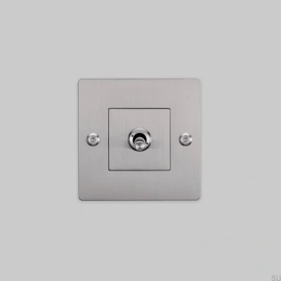 Einzelschalter mit Linear 1G-Logo, Stahl, Silber, Europäischer Standard