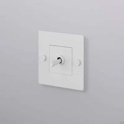 Einzelschalter ohne Logo, Kreuz 1G, Stahl, Weiß, Europäischer Standard