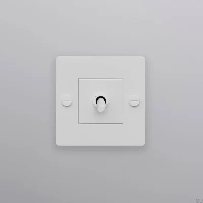 Einzelschalter ohne Logo, Kreuz 1G, Stahl, Weiß, Europäischer Standard