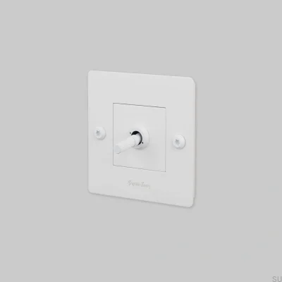 Einzelschalter mit Logo, linear, 1G, Stahlweiß, Europäischer Standard