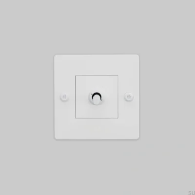 Einzelschalter mit Logo, linear, 1G, Stahlweiß, Europäischer Standard
