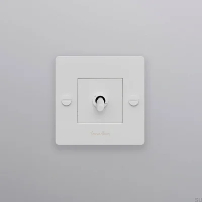 Einzelschalter mit Cross 1G-Logo, Stahl, Weiß, Europäischer Standard