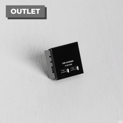 Dual-USB-Steckdosenmodul für Euro-Platte, schwarz, britischer Standard