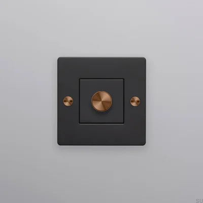 LED-Dimmer Cross 1G 100W Stahl Schwarz mit warmem Sonnenuntergangslicht Europäischer Standard