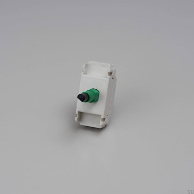 Momentanschaltermodul mit dem Aussehen eines Dummy-Einzugsdimmers nach europäischem Standard