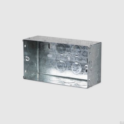2G Britischer Standard Metallbox