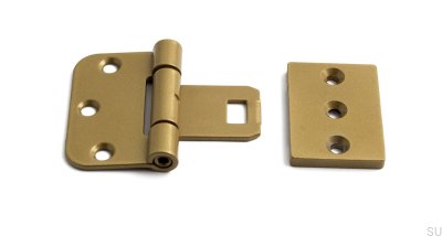 Symmetrische Türscharniere 2465 Stahl Gold (2er-Set)
