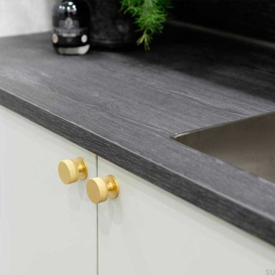 Möbelknopf Wappen 32 Gold gebürstet